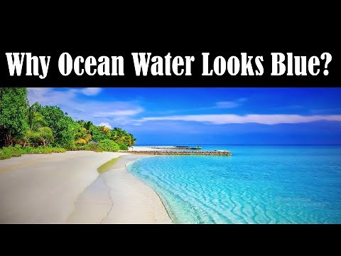 Why Ocean Water is Blue - Why Sea Water is Blue - Why Ocean Water is Blue in Colour