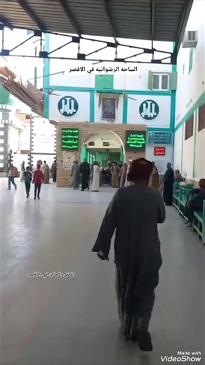 فيديوهات أنشأها Hamada Mahmoud (@hamadamahmoudelsh) باستخدام الصوت الأصلي - Hamada Mahmoud