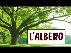 🌳🌲🌴 L'ALBERO: Parti, Caratteristiche e Tipologie - Scienze a Scuola 👩🏻‍🏫📗