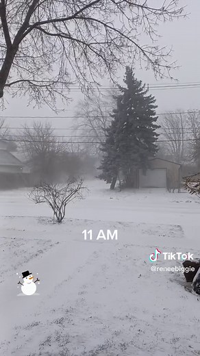 12 Hours of Snowfall in Buffalo, NY