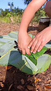 Tan sólo la fruta del Campano 🌿💚#reelsviralシ #salud #remediosnaturales #nature #natural #remedios | Natunay