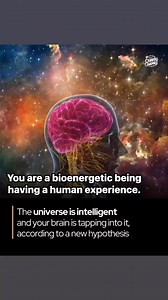 Say it again Lance! Science just confirmed it—your clothes are emitting a frequency. And it’s affecting you at the cellular level. Measured. Peer-reviewed. Electromagnetic.We’ve studied food. Light. Air. But we’ve overlooked the one thing touching your skin 24/7: Your fabric. Cellular Regeneration: Healing Starts at the Microscopic Level In a breakthrough 2022 study, researchers examined how fibroblasts—your skin and tissue repair cells—respond to different fabrics. Using hamster V79 fibroblast 