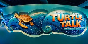 Turtle Talk with Crush officially reopens in Epcot | Chip and Company