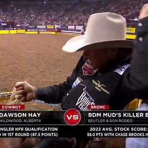 140K views · 6.3K reactions | Sometimes it takes no time passing to realize a moment is legendary, Dawson Hay going for 92 points on Killer Bee's final career out in Round 9 last year was an instant Las Vegas classic. | CowboyChannel | Facebook