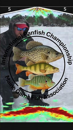 MGFA International Panfish Championship #icefishing #crappiefishing #panfishing