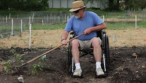 Disabled Man Wheelchair Weeding His Tomato Stock Footage Video (100% Royalty-free) 6514412 | Shutterstock