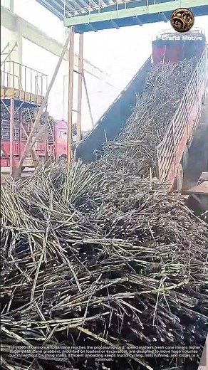 Heavy Duty Cane Grabber in Action Sugarcane Harvest & Processing Begins: Massive Sugarcane Unloading