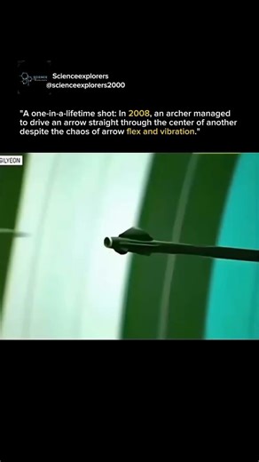 Real-Life Robin Hood: The Impossible Perfect Arrow Split (2008)