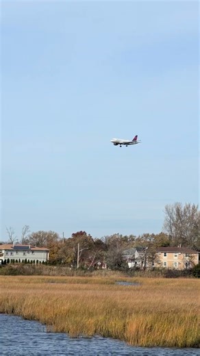Delta Air Lines Airbus A320