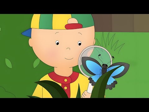 Explorador de la Jungla | Las Nuevas Aventuras de Caillou