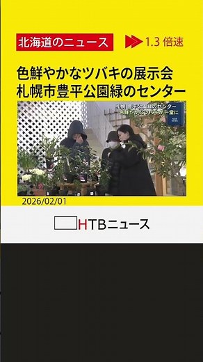 約３０種類が一堂に 色鮮やかなツバキの展示会 札幌市 豊平公園緑のセンター