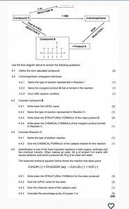 Question Breakdown: Organic Chemistry Flow Diagram (Grade 12, N... | Filo