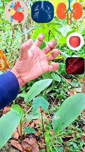 1M views · 14K reactions | Amazing Finger Exercises For All Organs Health ✅️ Sourav Yoga | Sourav Yoga | Facebook