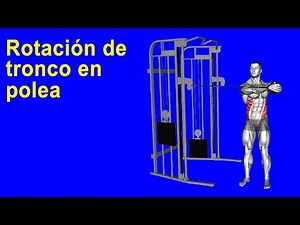 Ejercita los abdominales con la rutina Rotación de tronco en polea