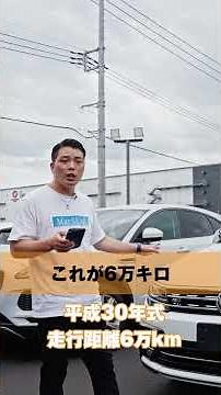 200万円台の外車がちょうど良い？この辺の車がおすすめ！#中古車 #外車 #シトロエン