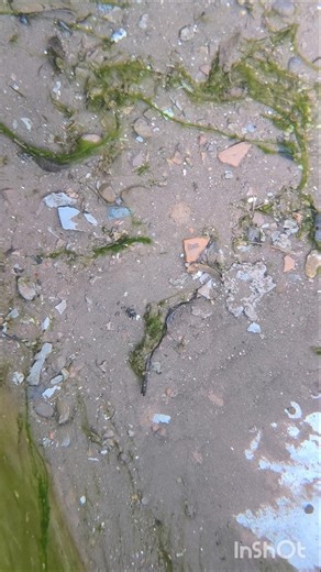 redmi note 13 Pro Plus ka camera testing