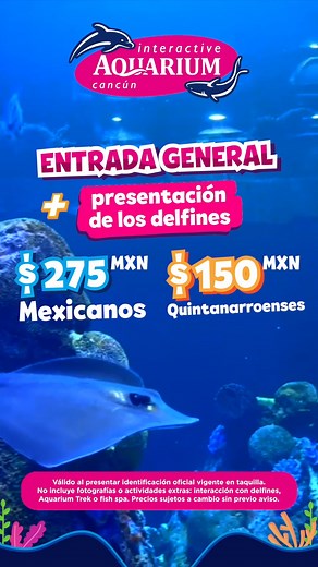 512 reactions · 82 shares | ¡Aprovecha nuestros precios especiales para venir a divertirte con toda la familia! Niños de 0 a 4 años ENTRAN GRATIS Horario: Acuario: 9:30 am a 8:00 pm Presentación de los delfines: 7:00 pm Puedes adquirir tus entradas directamente en taquilla o reservar aquí: Whatsapp: https://wa.link/ldyf9l Sitio web: https://bit.ly/48300cd | Aquarium Cancun | Facebook