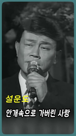 설운도 - 안개속으로 가버린 사랑 #전통가요 #정통트로트 #힐링카페 #오기택 #조미미 #트로트 #박일남