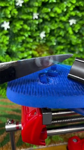 Expert XML Editing Services for Copyright Management