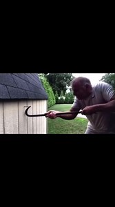 funny situations | SDO