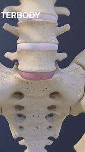 54K views · 325 reactions | Need to know what really happens during...