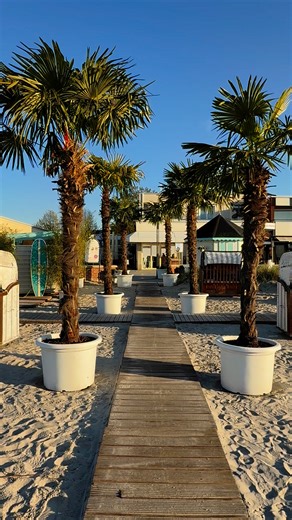 🌅✨ "Der Grömitzer Strand ist das Wohnzimmer des Nordens - ein Ort, an dem Wellenrauschen und Sand unter den Füßen zum Alltag gehören. Hier finden wir Ruhe, Freude und unvergessliche Momente! 🤗🌊 Besucht uns und entdeckt die Magie des Nordens! #GrömitzerStrand #ostseeliebe | Haus am Hügel