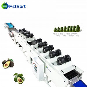 [Hot Item] Fstsort Avocados Sorting, Grading, Packing and Processing Machine Avocado Sorting Solution