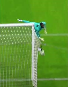 Amazing Soccer Saves of All Times - ⚽DON'T MISS OUT! #FootballShorts #soccer #fifa #worldcup