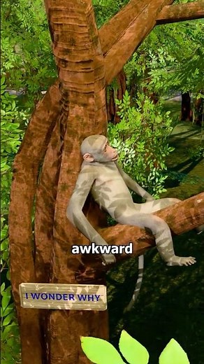 How Monkeys Get Drunk? 🐒🍺