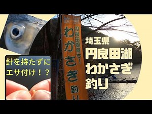 【ワカサギ釣り】円良田湖わかさぎ釣りリベンジに行ってきました！！
