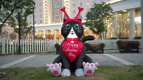 Leyndo 5 ft Height Cat Valentine‘s Day Inflatables with Built in LED Lights Cat with Hearts Blow up Valentine‘s Day Decoration Inflatable Outdoor Holiday Yard Decorations for Garden Party