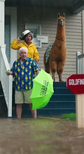 Flash Flood Sweeps Cars Away – Real-Time Disaster