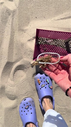 Discovering Hidden Beach Treasures and Finds