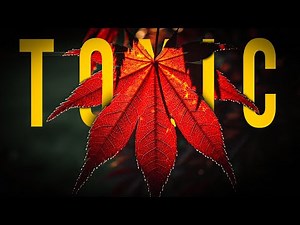 Is The 'Red Dragon' Toxic? (The 15% Warning)