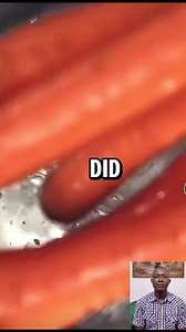More about carrot | SURE TRUTH TV