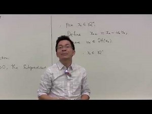 The Subgradient Algorithm