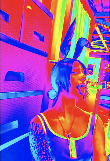 Techo de Lámina: Belleza y Versatilidad