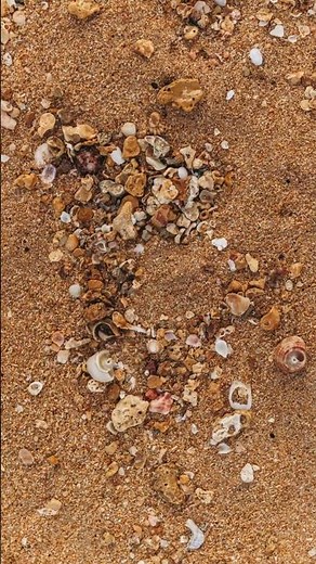 Turquoise Water Wonders of The Bahamas 🇧🇸