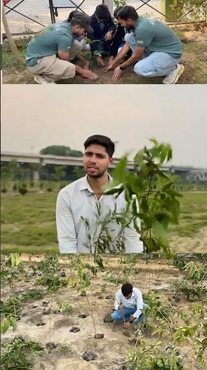 🚨 STOP SCROLLING! 🌳 The Trees We Plant Today Will Save Tomorrow 🥵🌍 #shorts #kind2earth #explore