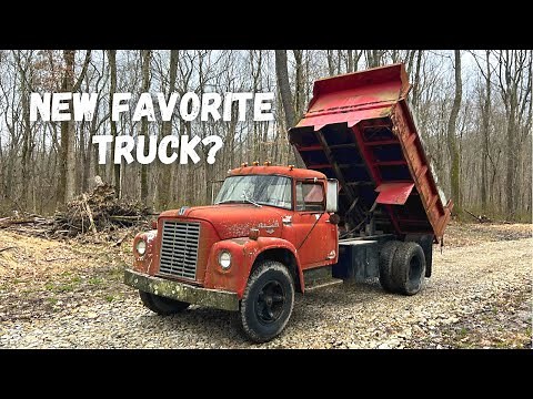Sitting 20+ years will this $500 Truck Run & Drive again? (International Loadstar Revival)
