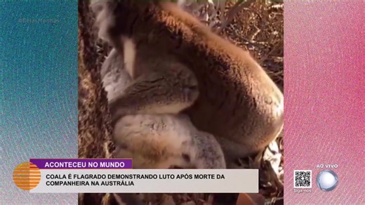 Assista na íntegra o Belas Manhãs 04/02/2026 | TV Miramar