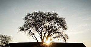 Serengeti Safari Camp | Nomad