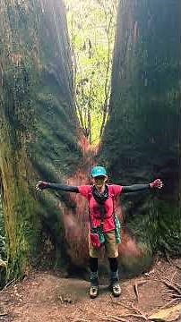 【筑波山登山】滑る木の根と岩場に苦戦…絶景ゼロでも大満足の夏山登山！ #筑波山登山 #男体山 #女体山 #bbkチャンネル