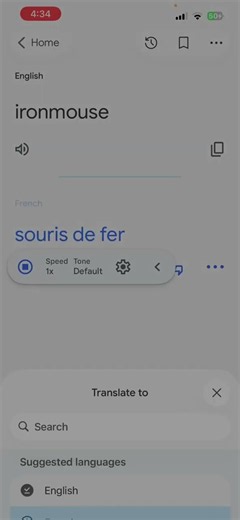 Ironmouse google translate English Spanish Japanese German Chinese
