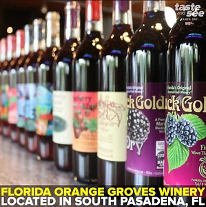 35K views · 402 reactions | 諾 TROPICAL WINES  This Tampa Bay winery only makes their wine from 100% tropical fruit, citrus and berry juices. Check out their free wine tastings 7 days a week  Details >> https://wfts.tv/2IbTuUi | Taste and See Tampa Bay | Facebook