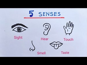How to draw sense organs easy | Sensor organs drawing idea | How to draw sensory organs