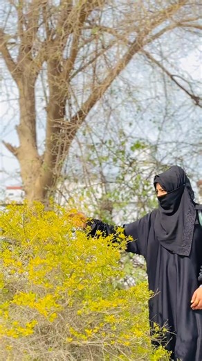 Farwa batool (@farwa_batool08)’s videos with original sound - Amjad chandio