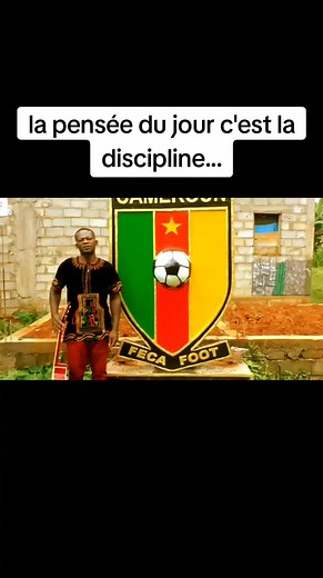 Le professionnel arts on TikTok