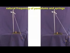 natural frequency pendulum and springs a science with bobert video short