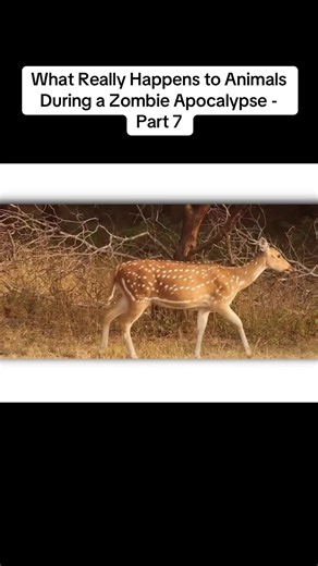 street.itv (@street.itv)’s videos with original sound - street.itv